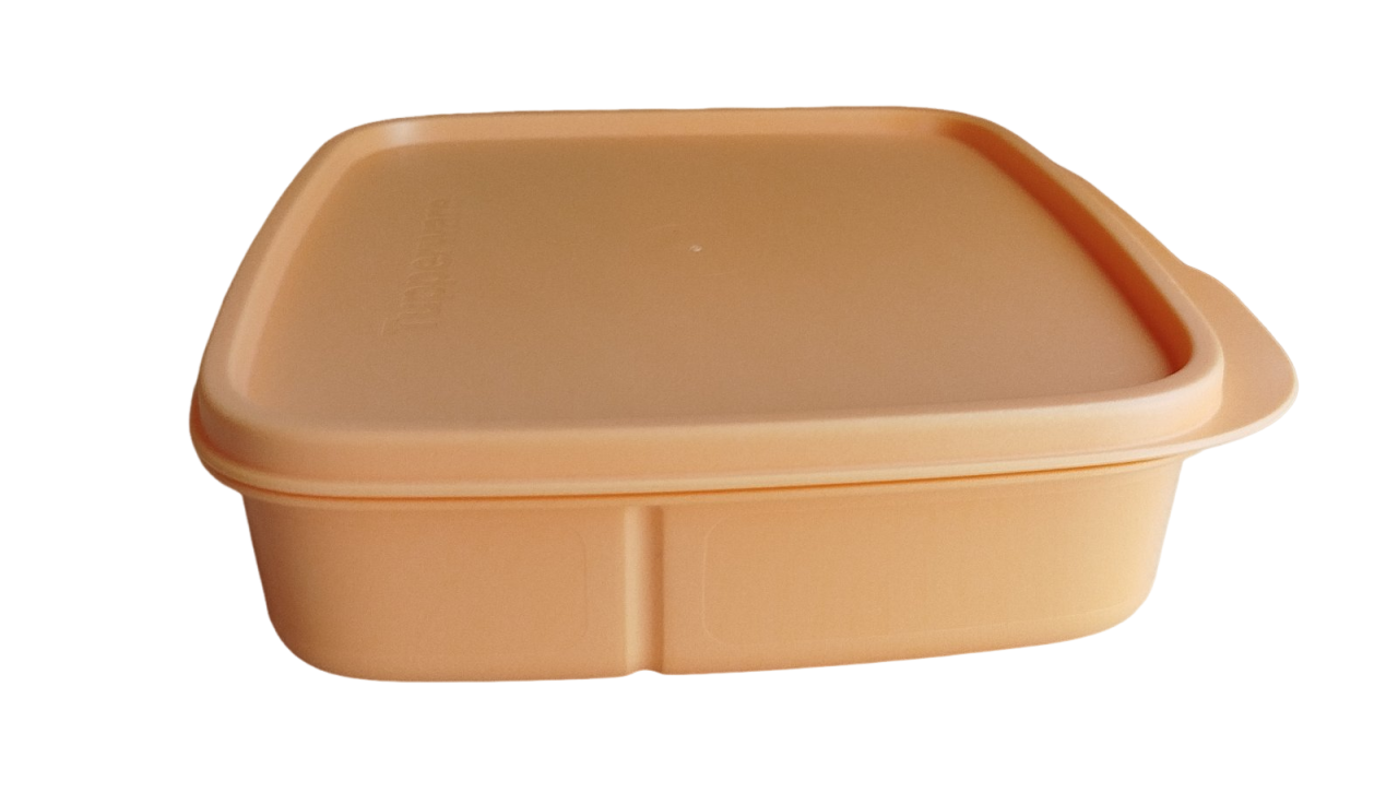 Пищевой контейнер Tupperware Школьник 550 мл (36563643)