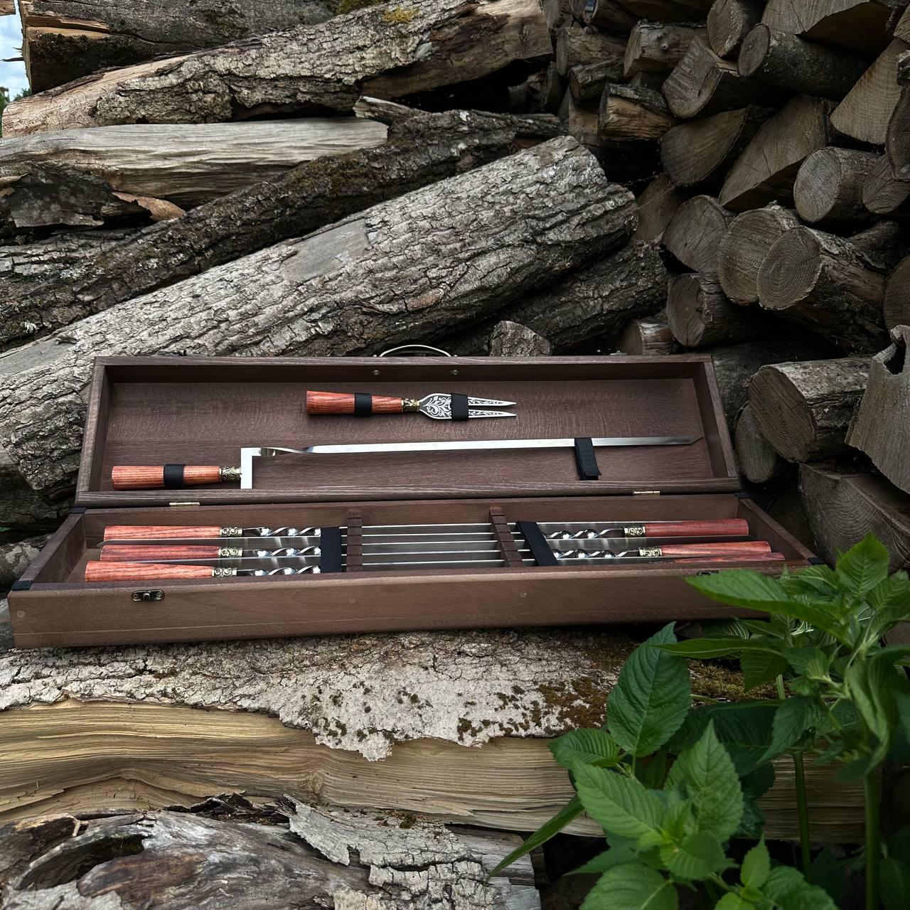 Набор шампуров Premium-Lux 11-1 в кейсе (19133914)