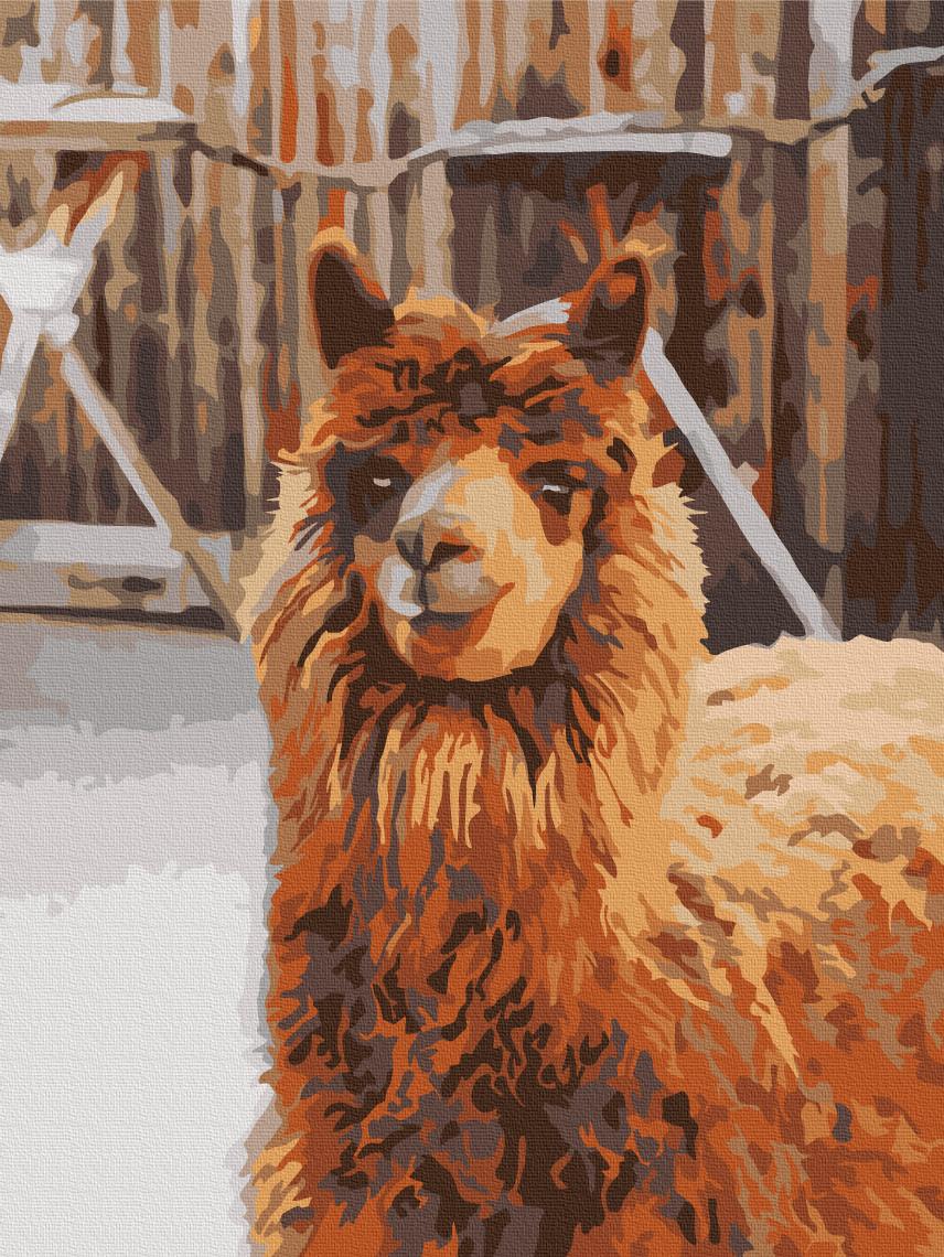 Картина по номерам Brushme Лама на ферме 30x40 см (RBS52266) Картина по номерам Brushme Лама на ферме 30x40 см (RBS52266)