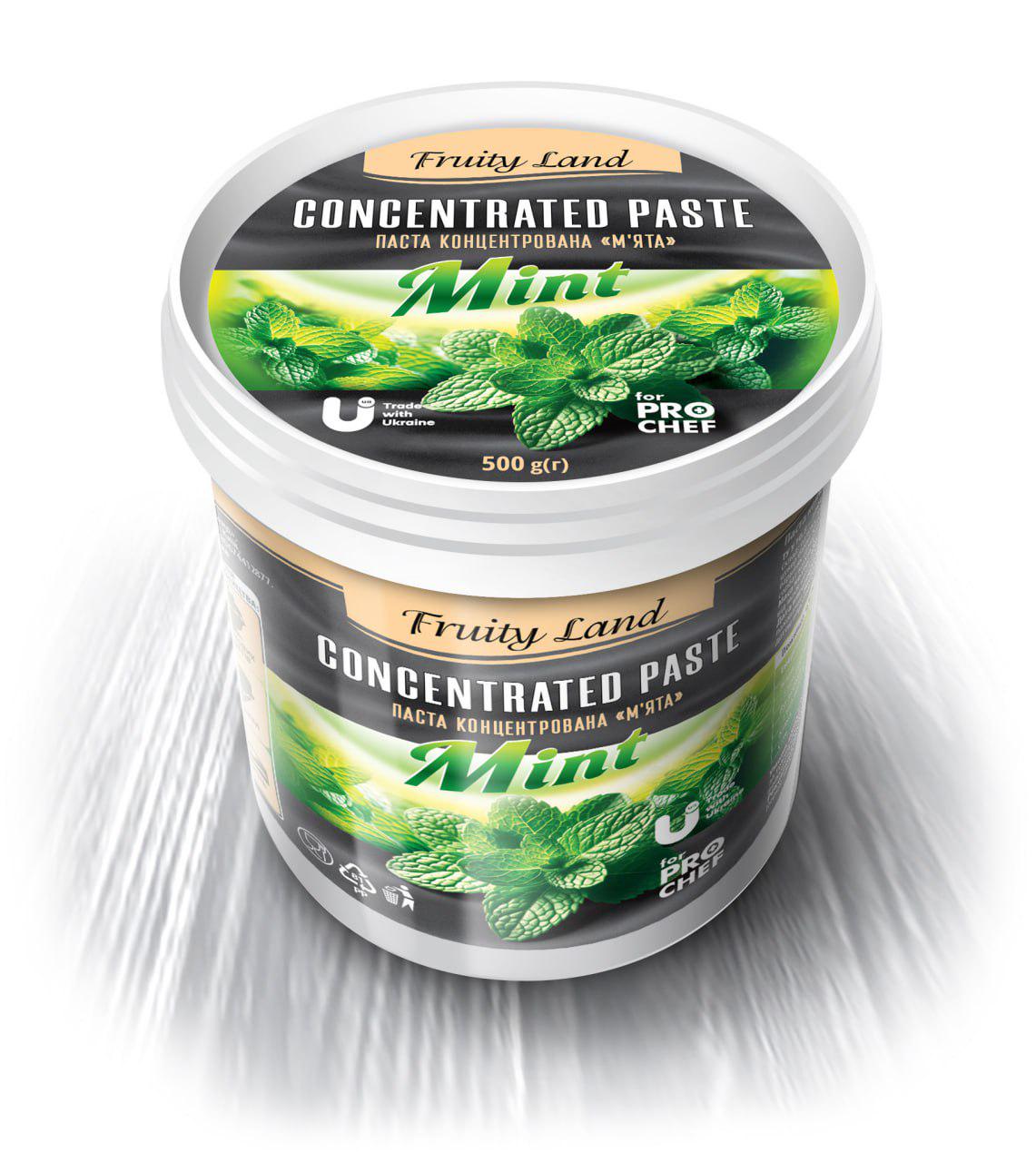 Паста концентрированная Fruity Land Мята 500 г