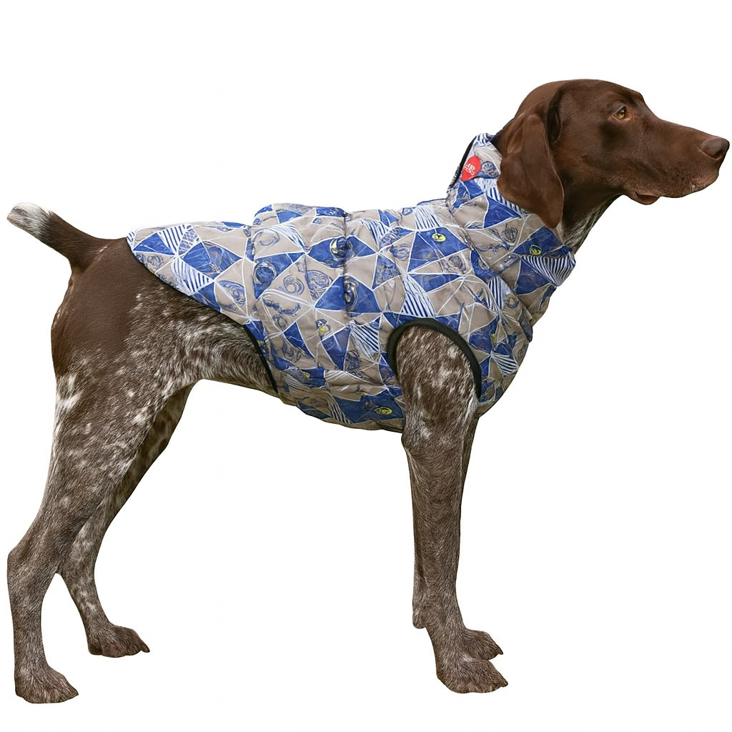 Жилет для собак Diego Print Морський принт р. 8 (124181816)