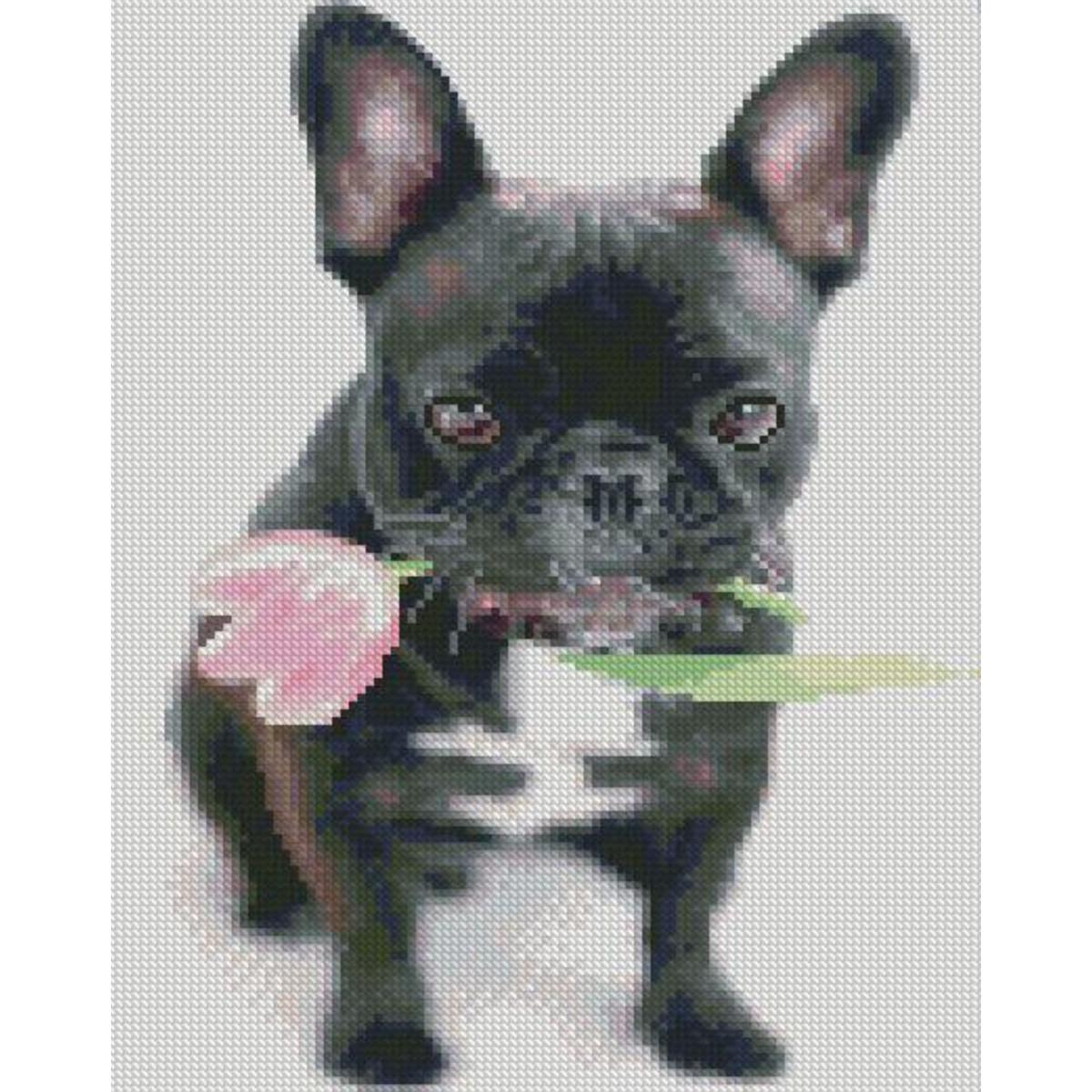 Алмазная мозаика Strateg Французский бульдог 30х40 см HX456 (HX456)