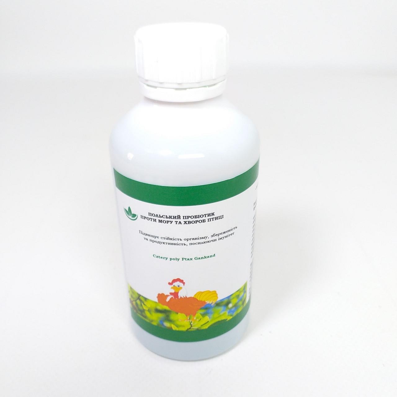 Пробиотик для птицы для профилактики инфекций/укрепления/иммунитета/продуктивности 200 мл (X-2069) - фото 3 Пробиотик для птицы для профилактики инфекций/укрепления/иммунитета/продуктивности 200 мл (X-2069) - фото 3