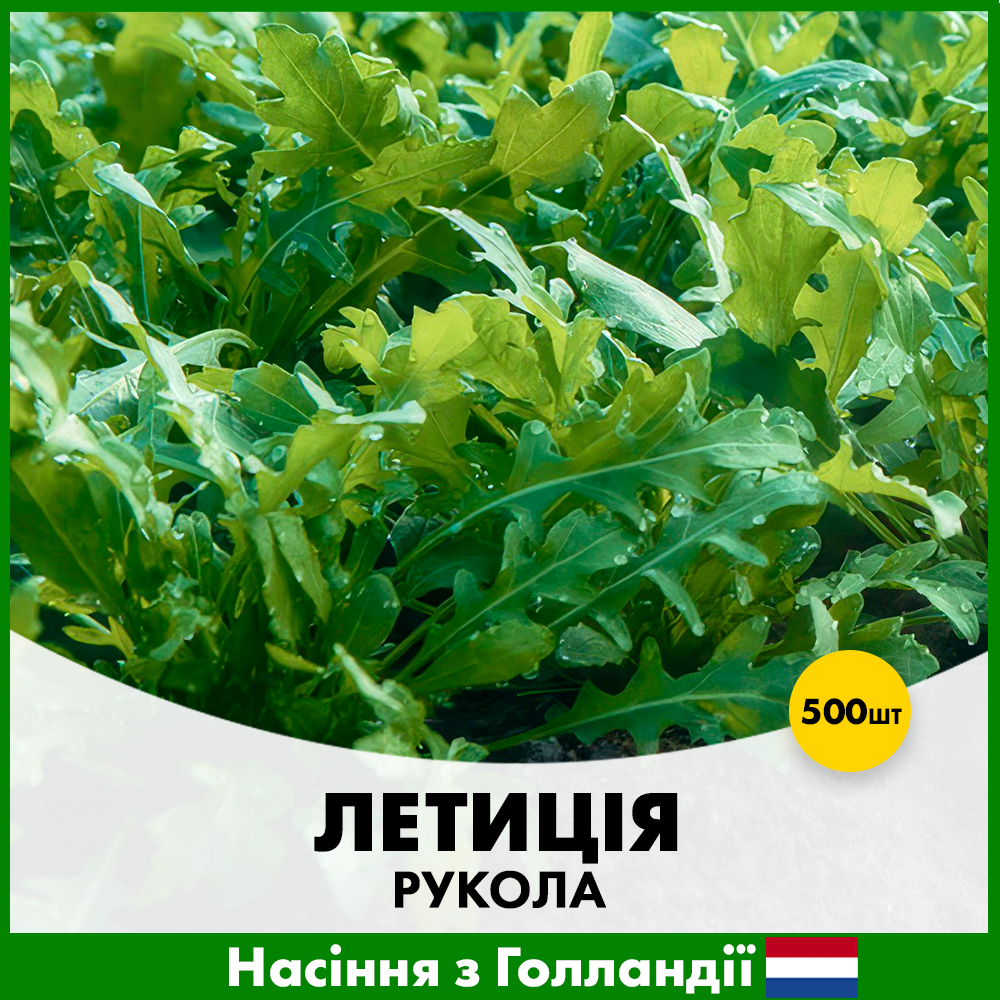 Семена рукколы Enza Zaden Летиция 500 шт. (R50121)