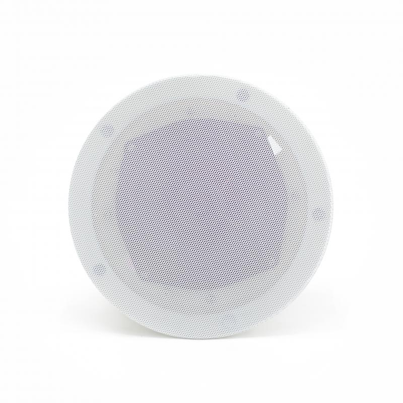 Потолочный динамик Sky Sound TM-701W