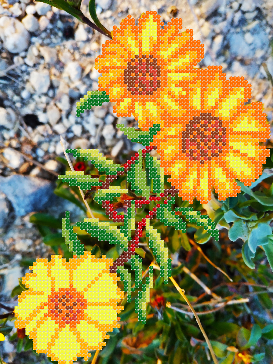 Схема вышивки бисером Цветы календулы (1227385878)