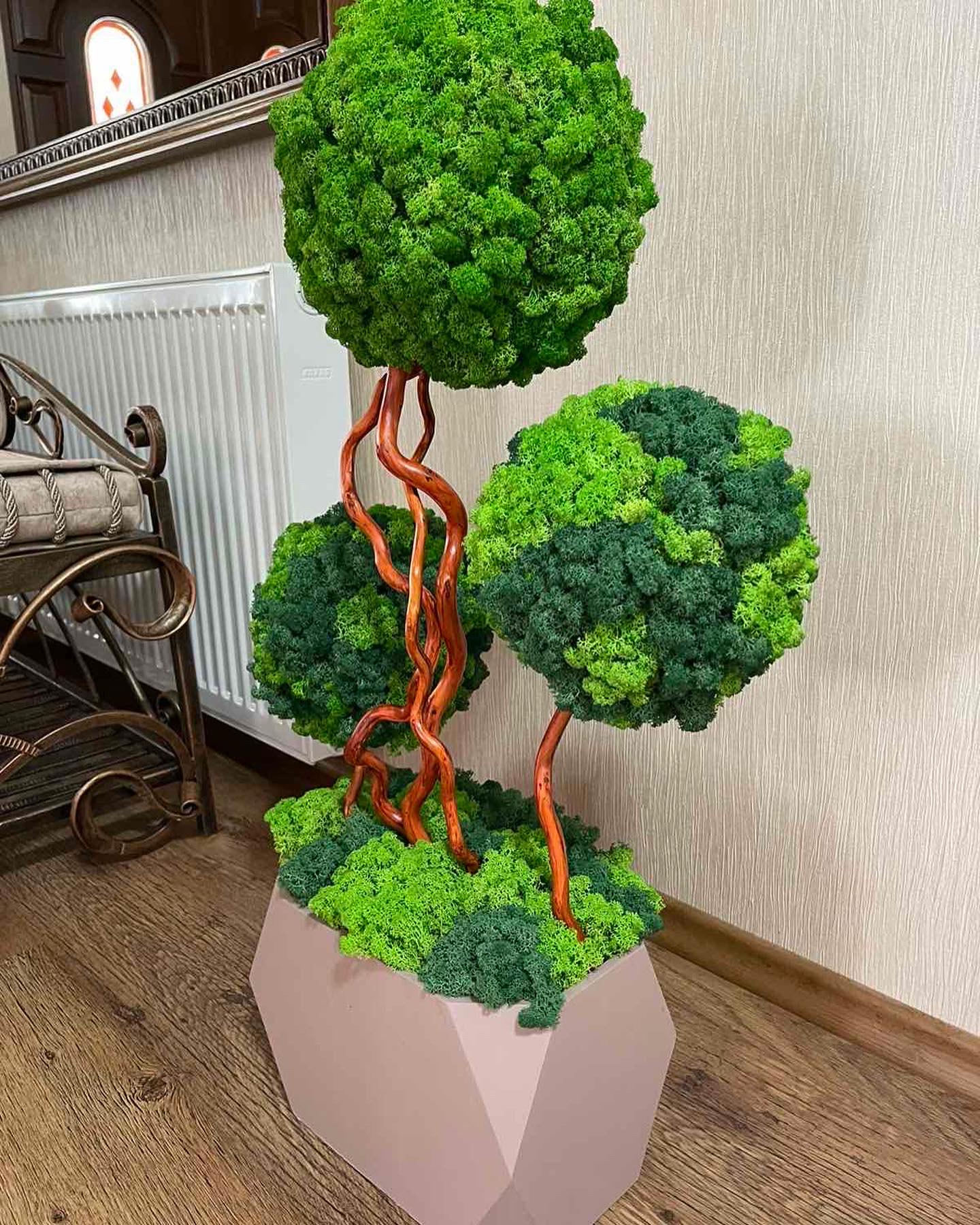 Дерево-бонсай со стабилизированным мхом 80 см (11947828)