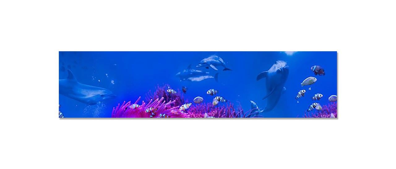 Наклейка виниловая на кухню Zatarga Подводный мир Дельфин 600х2500 мм (1289776275)