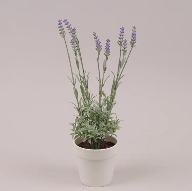 Лаванда в горшочке Flora 34 см (72416)