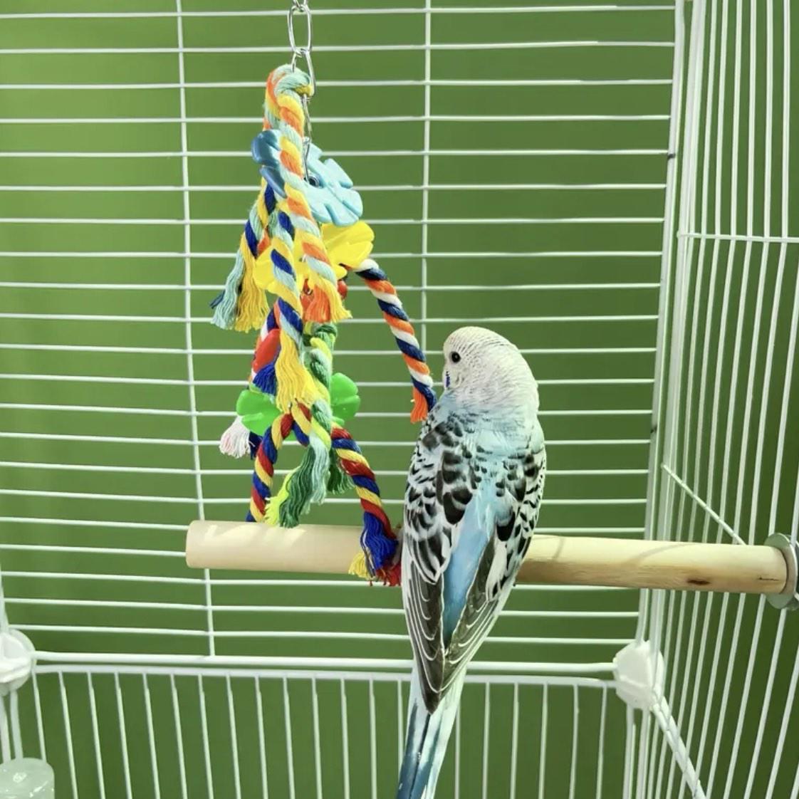 Іграшка плетена для папуг 2 шт. Різнокольоровий (345434534) - фото 5 Іграшка плетена для папуг 2 шт. Різнокольоровий (345434534) - фото 5