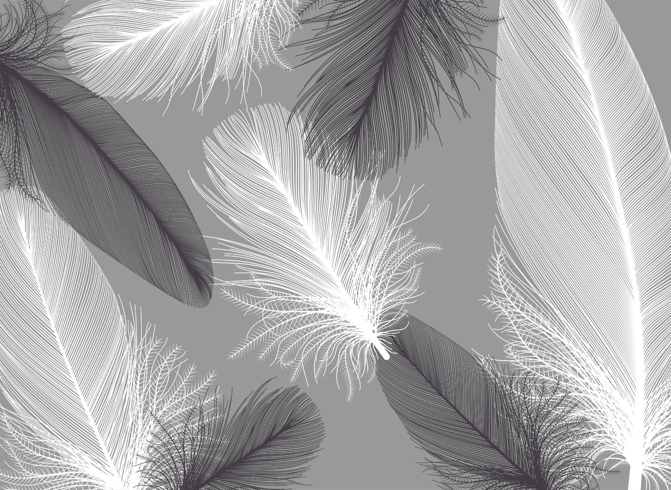 Фотообои Artside Перья 7210920202
