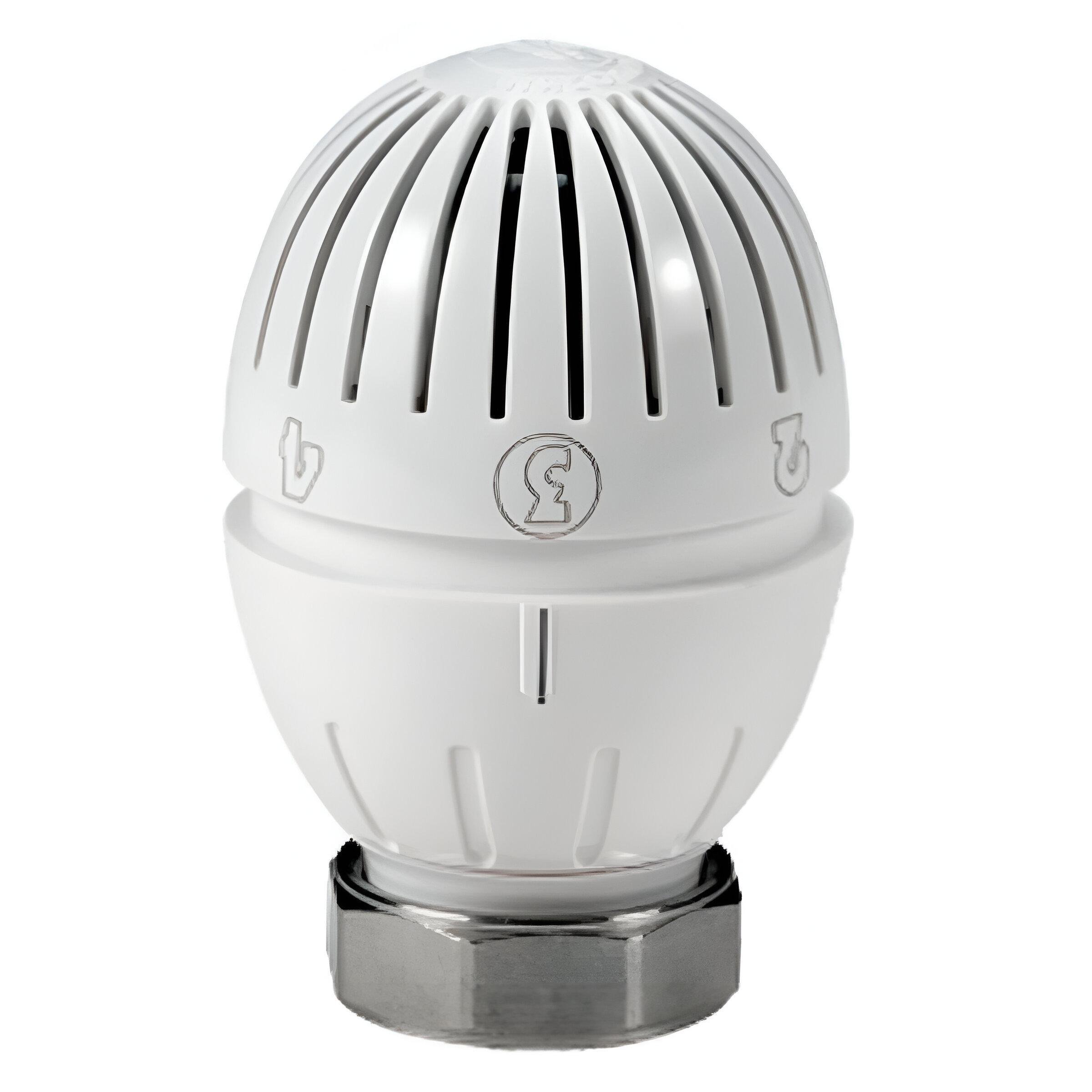 Термоголовка Giacomini с жидкостным датчиком и нарезным фиксатором (TK-R470HX001) Термоголовка Giacomini с жидкостным датчиком и нарезным фиксатором (TK-R470HX001)