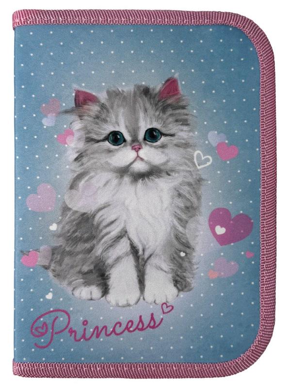 Пенал школьный 1 отделение 2 отворота без наполнения Princess Cat 24202C Class (13014649)