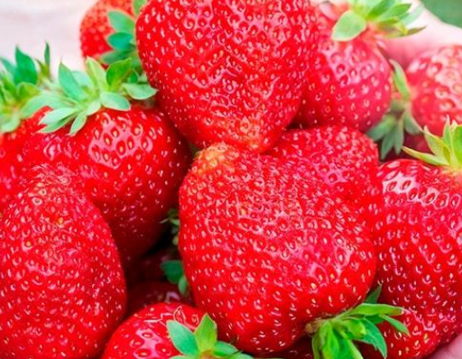 Клубника садовая ремонтантная Harmony укорененная (29294246)