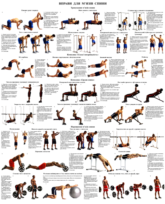 Плакат силові вправи для спини 50х64,5 см