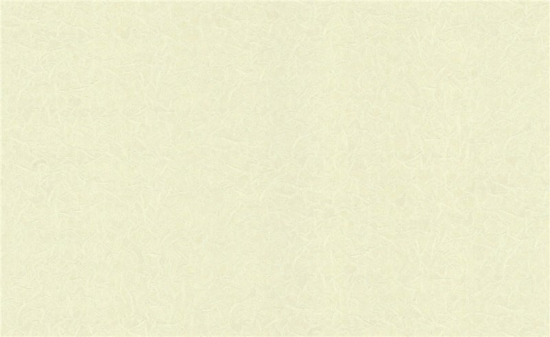 Обои Bravo 81140BR11 виниловые на флизелиновой основе 1,06х10,05 м