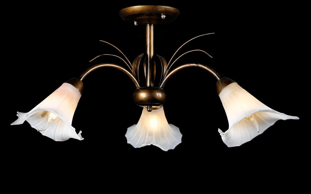 Люстра с плафонами Ray L10190/3 (265849)