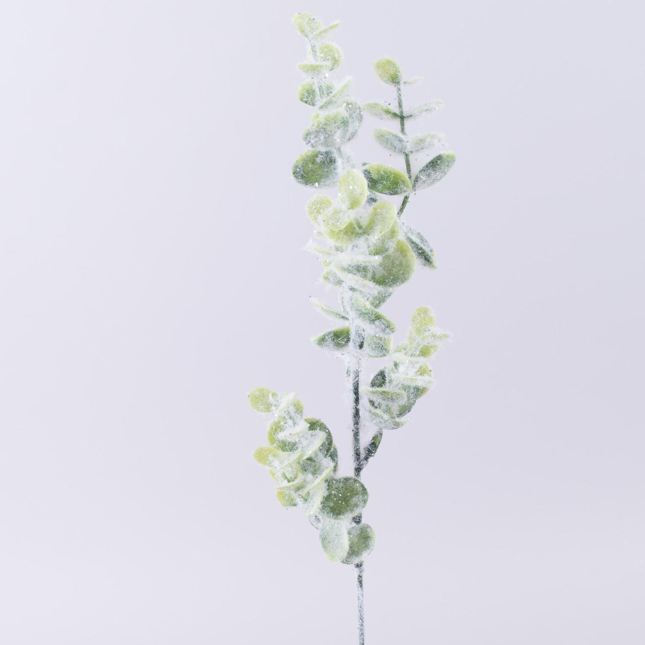 Ветка Эвкалипт заснеженный (2260)