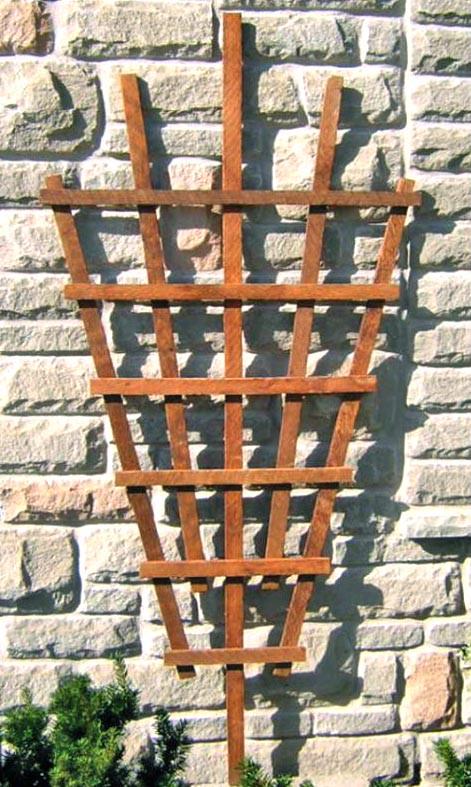 Опора для плетущихся из дерева Лепонг Мускат (ОДВ-002707)