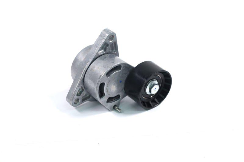 Натяжитель ремня с роликом ASHIKA 128-01-102 Nissan