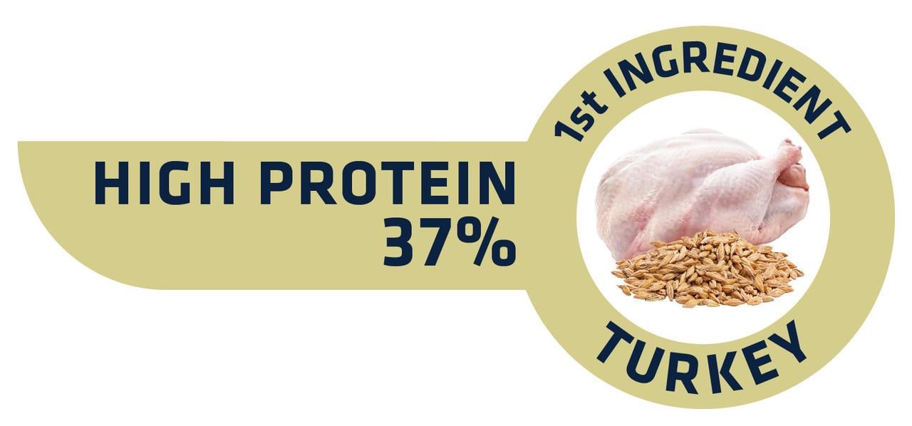 Корм сухий Advance Sterilized с индейкой 3 кг - фото 3 Корм сухий Advance Sterilized с индейкой 3 кг - фото 3