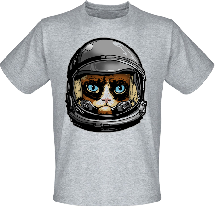 grumpy cat astronaut