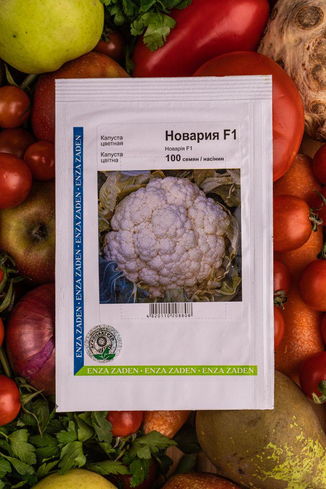 Семена Enza Zaden Капуста цветная Новария F1 100 шт. (296510)