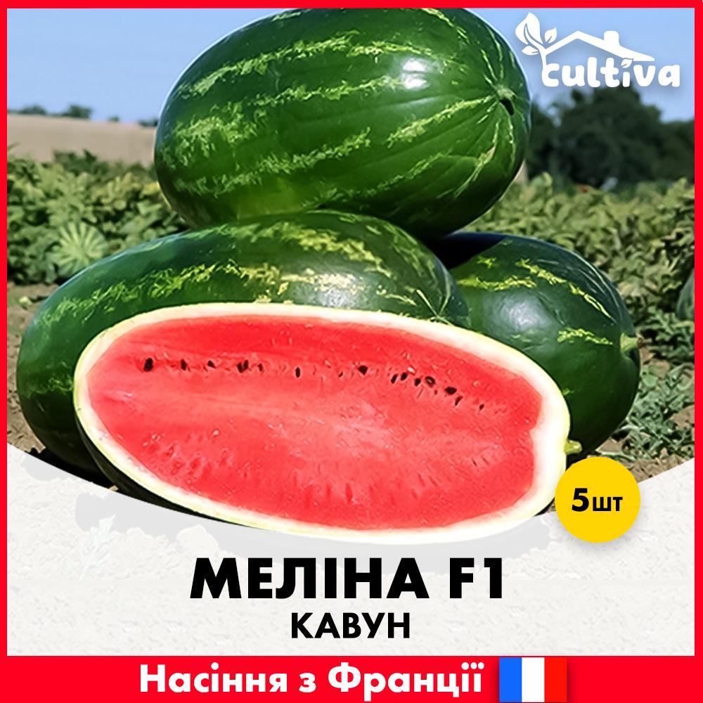 Семена арбуза Clause Мелина F1 5 шт. (R51056)