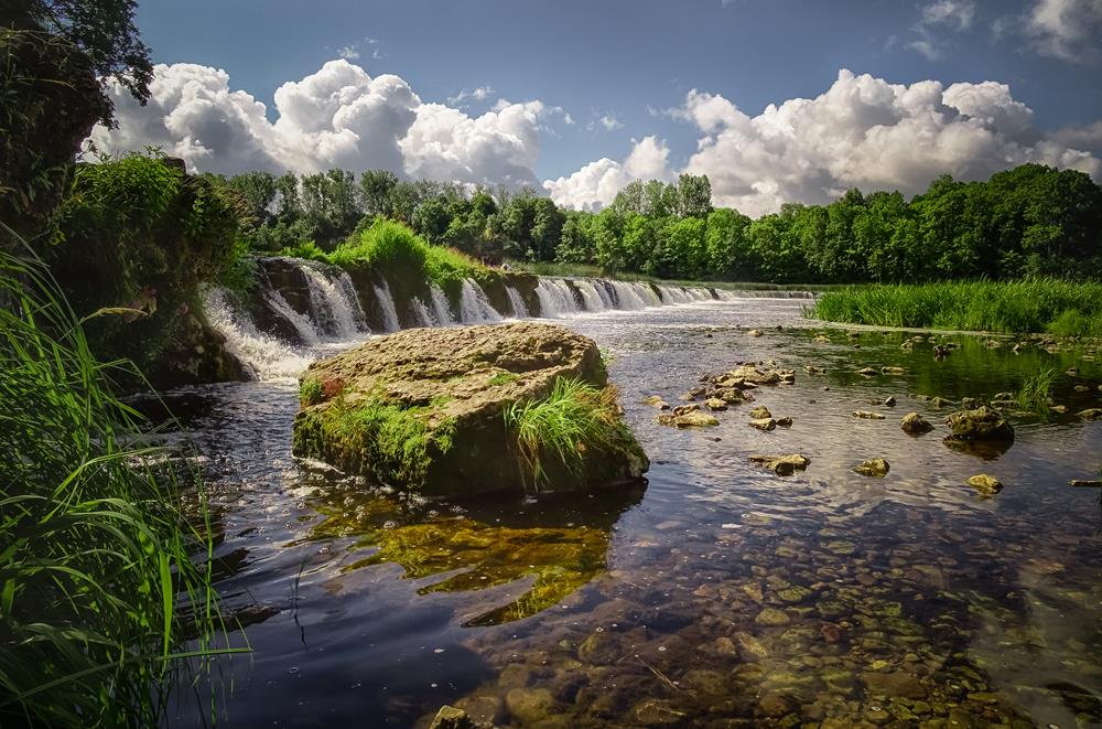 Картина Природа PR208 35х55 см