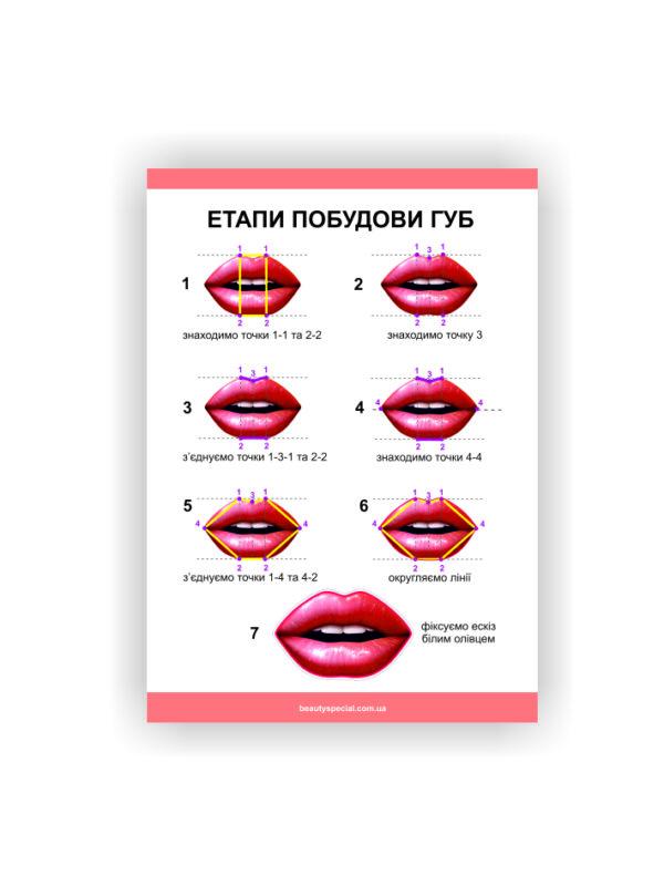 Плакат Vivay Этапы построения губ 118х84 см (25602762)