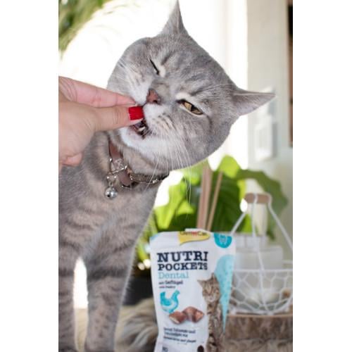 Ласощі для котів вітамінні GimCat Nutri Pockets Dental для зубів 60 г - фото 3 Ласощі для котів вітамінні GimCat Nutri Pockets Dental для зубів 60 г - фото 3