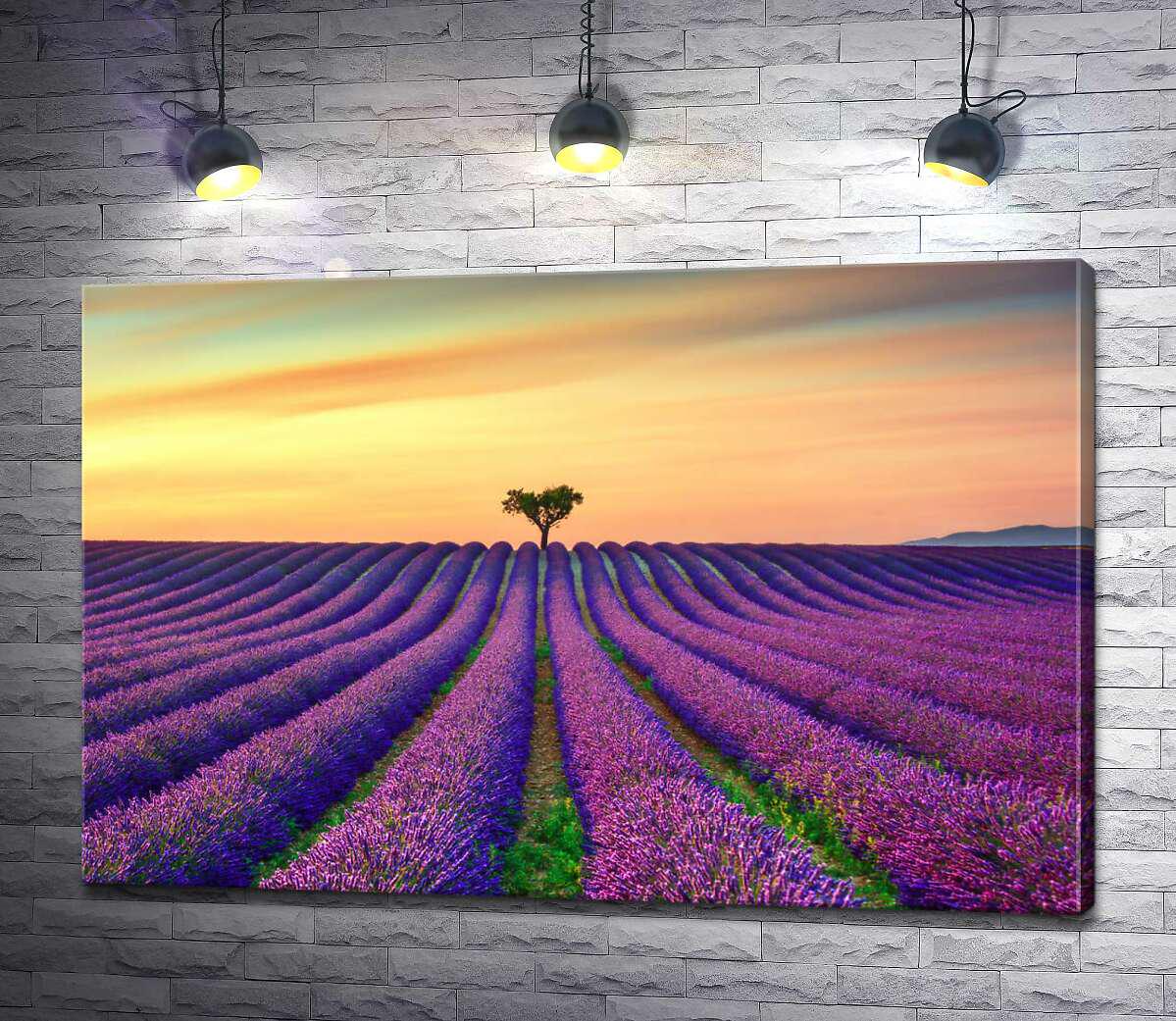 Картина ArtPoster Ровные ряды лавандовых кустов ведут к тени одинокого дерева 100x67 см Модуль №1 (001235)