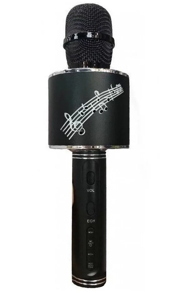 Караоке-микрофон портативный DM YS-66 5548 3W Black