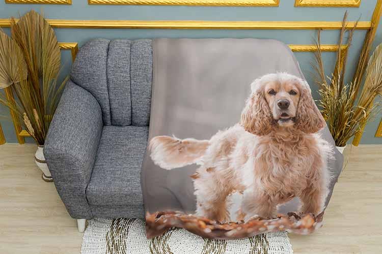 Плед Cocker spaniel in the leaves плюш одношаровий 135х150 см (113455)