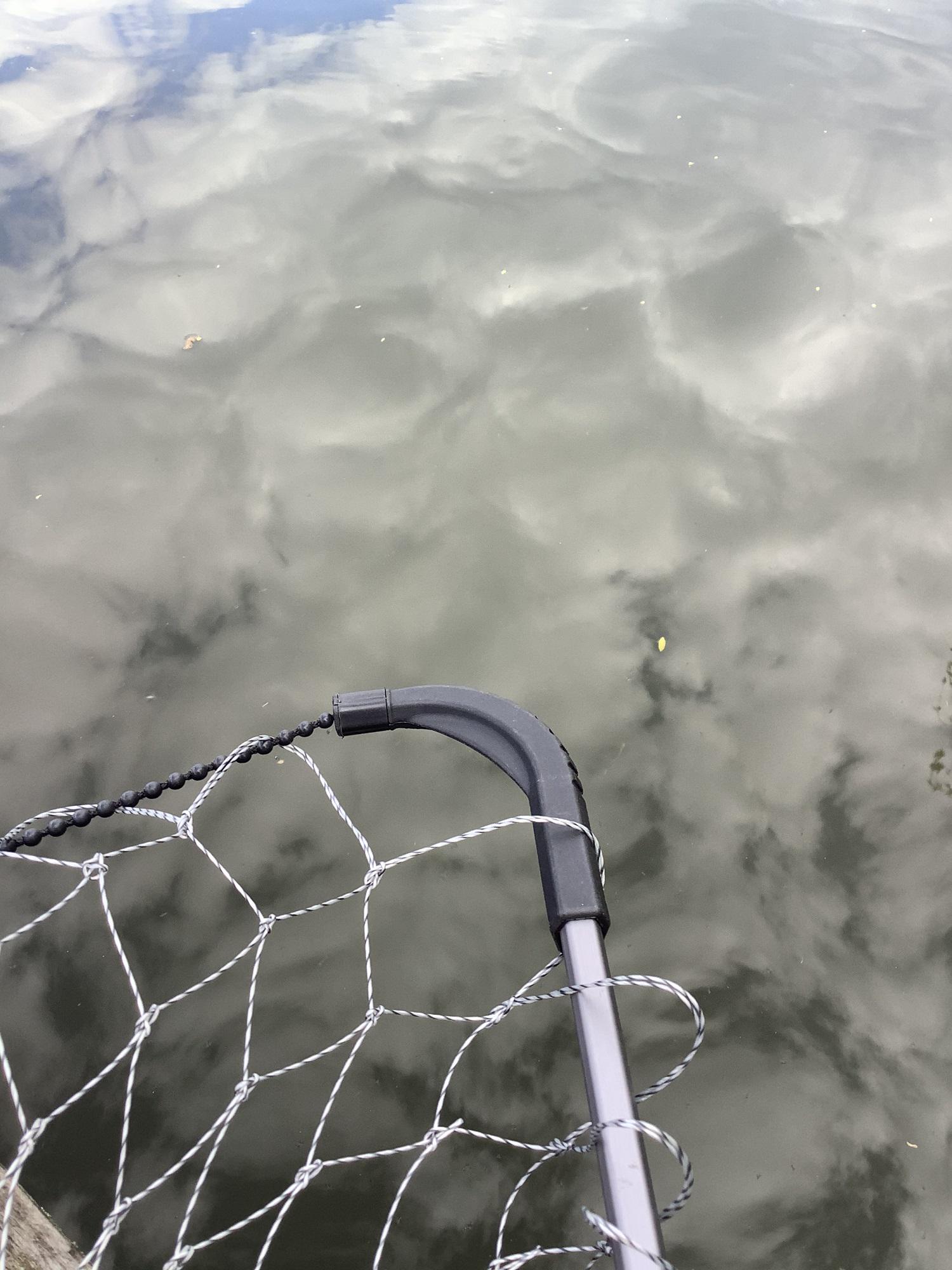 Подсака складная металлическая Condor (916-60602202-T) - фото 2 Подсака складная металлическая Condor (916-60602202-T) - фото 2