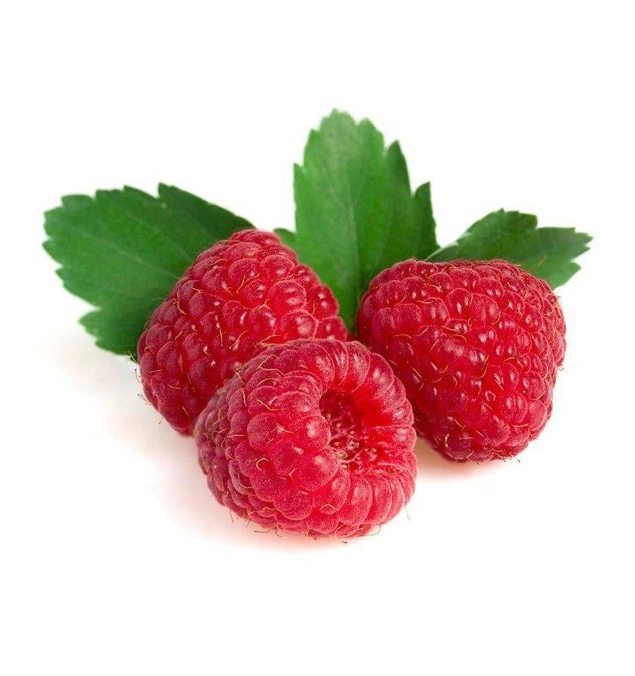 Пастила Малина Alexis без сахара упаковка 18 шт. 350 г - фото 2 Пастила Малина Alexis без сахара упаковка 18 шт. 350 г - фото 2