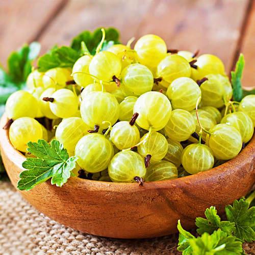 Крыжовник Florium Хинонмаки Желтый (13678)
