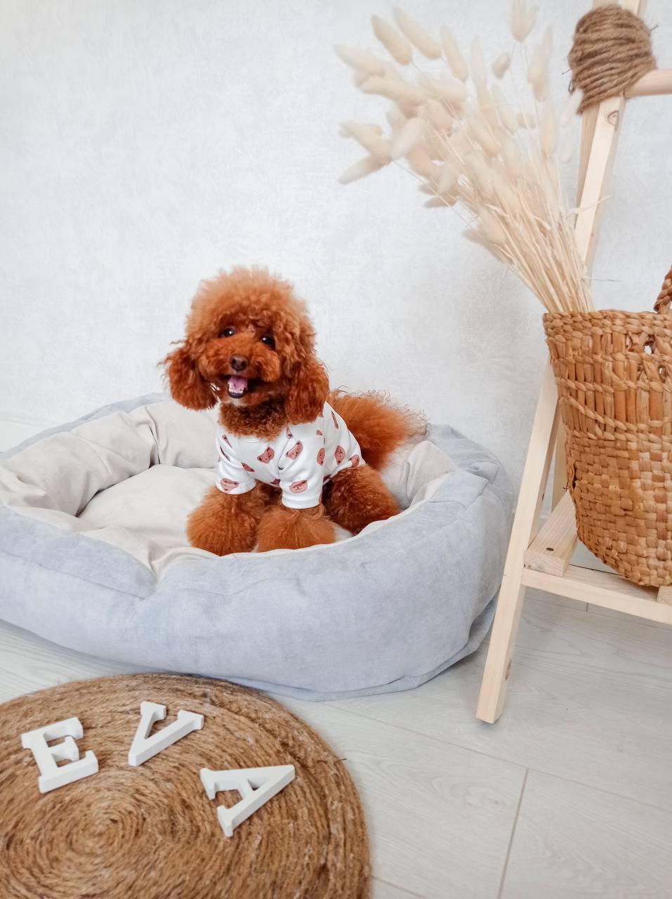 Лежак для собак и кошек Incor со съемным чехлом та бортами 65х45х18 см Серый (17842277)