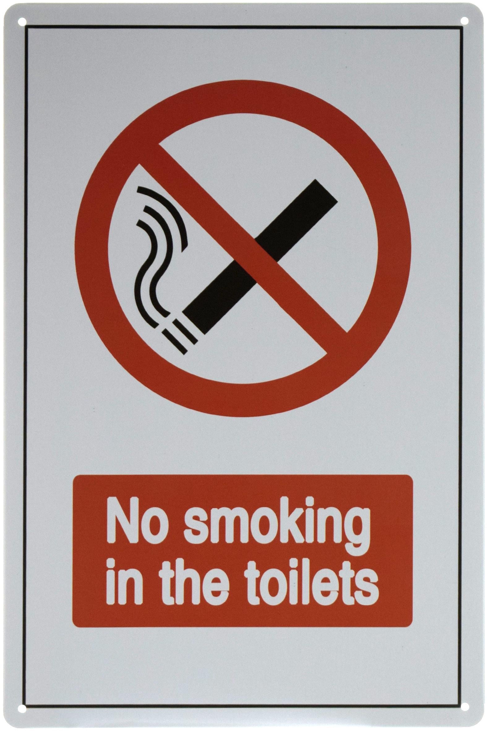 Табличка металлическая Не Курить В Туалетах/No Smoking In The Toilets 20x30 см
