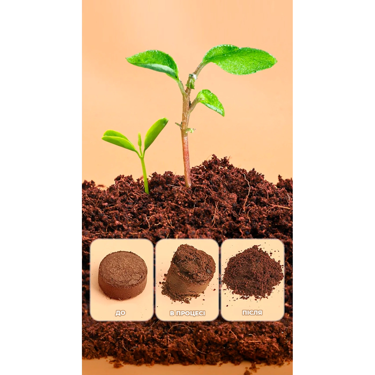 Комплект для садоводства двухэтажный с автополивом - фото 5