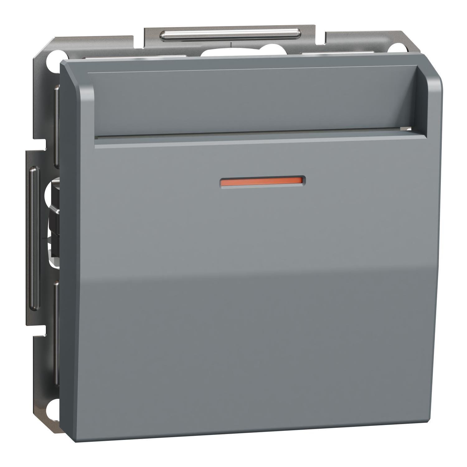 Выключатель карточный Schneider Electric Asfora механический Стальной (EPH6200162) Выключатель карточный Schneider Electric Asfora механический Стальной (EPH6200162)