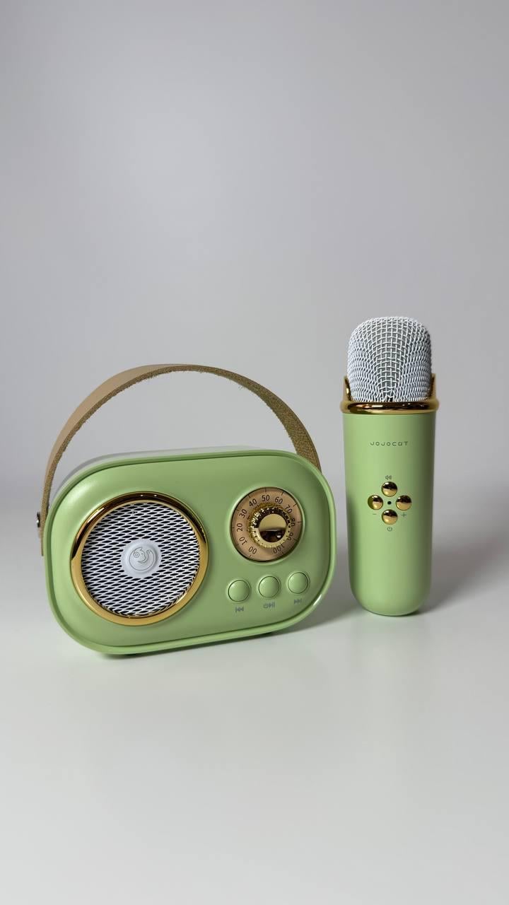 Колонка караоке C 66373 Bluetooth с микрофоном