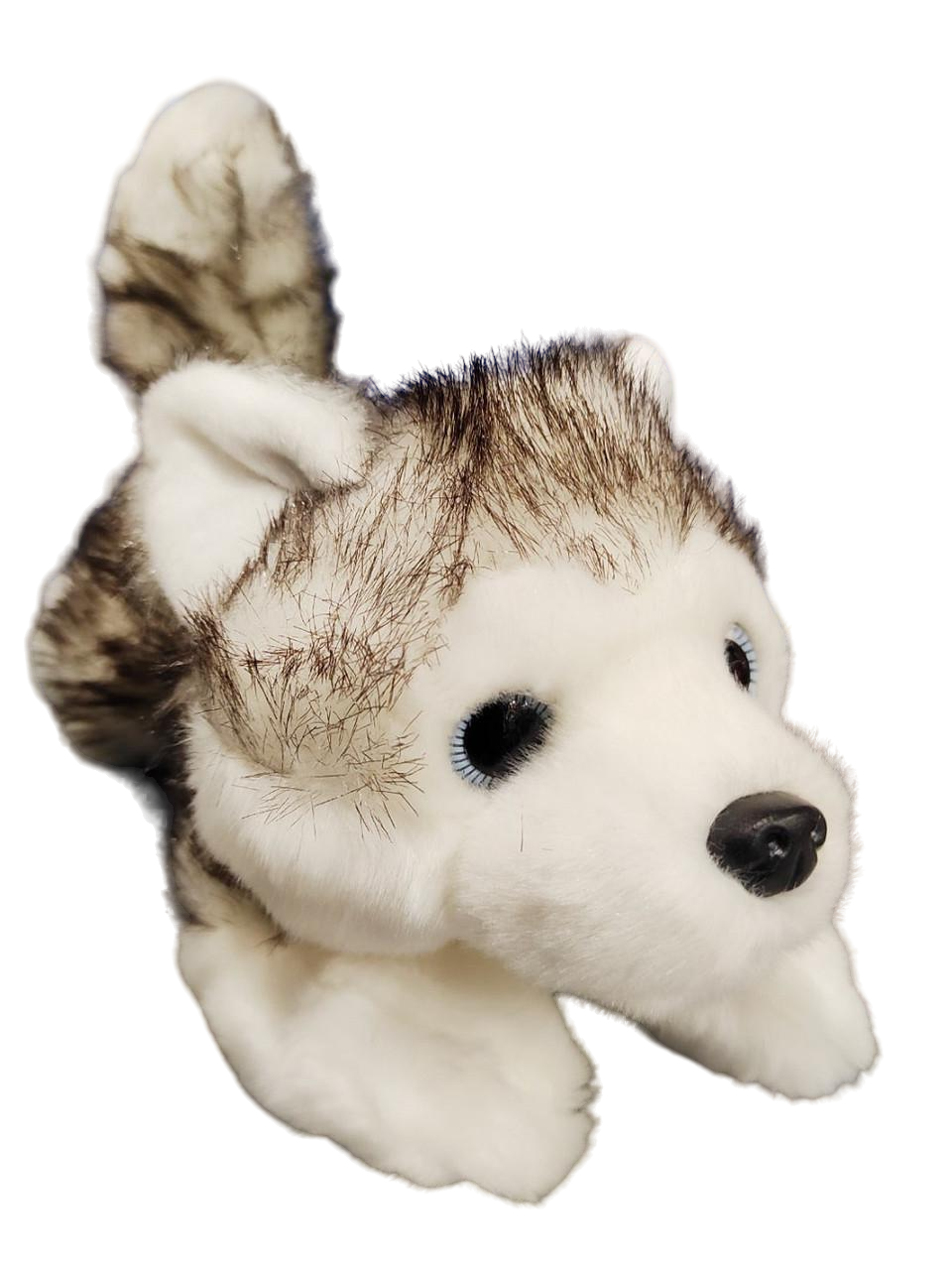 М'яка іграшка собака хаскі глазастик (M096)