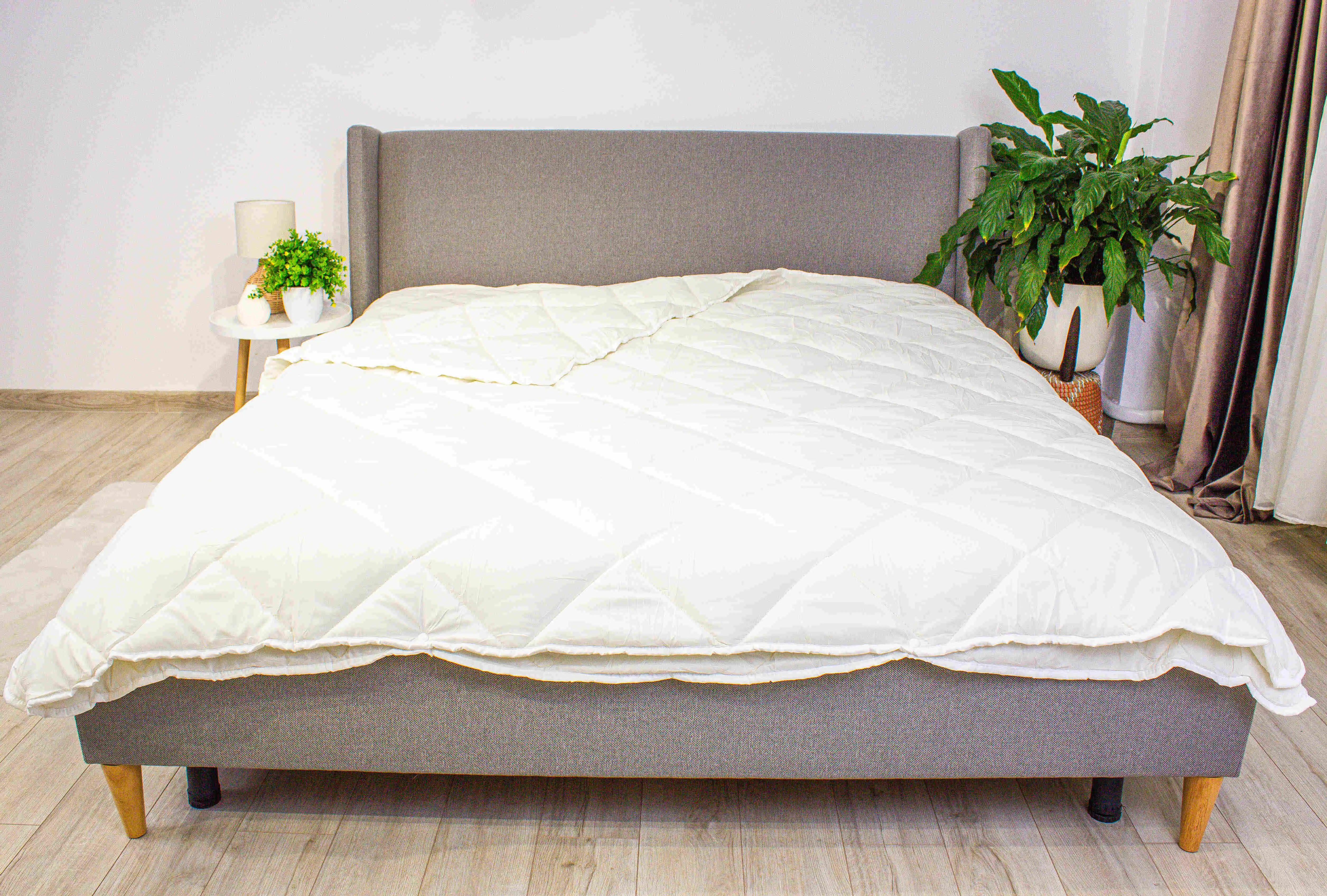 Ковдра всесезонна ТЕП Four Seasons двошарова гіпоалергенна 150/250 г/кв. м євро 200x210 см Білий (11590200210)