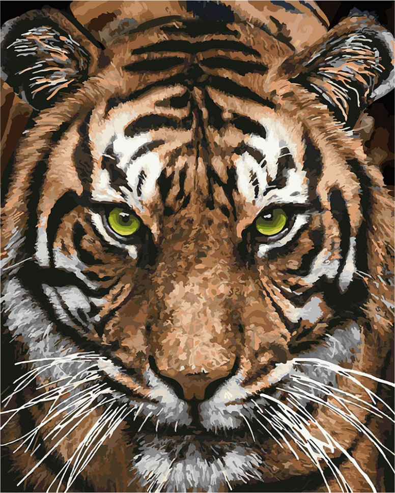Картина по номерам Величественный тигр 40х50 см (KHO4166)