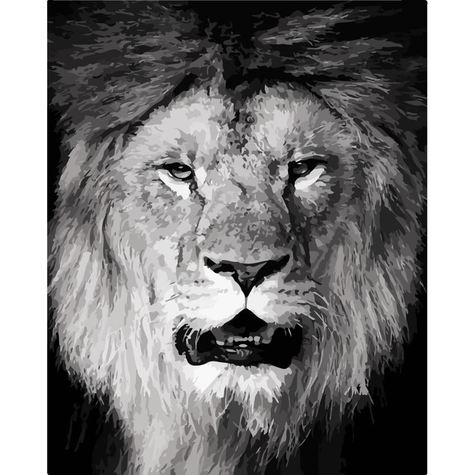 Картина по номерам ART CRAFT Лев 40x50 см (ACR-B-11611-AC)