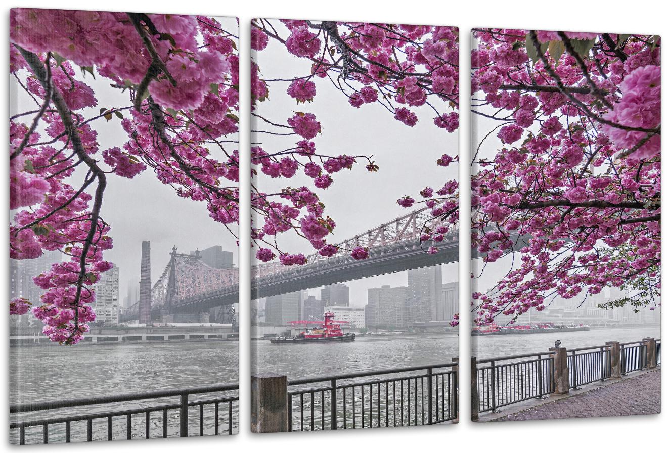 Картина модульная в гостиную/спальню Сакура 70х130 см (ART-020_3A)
