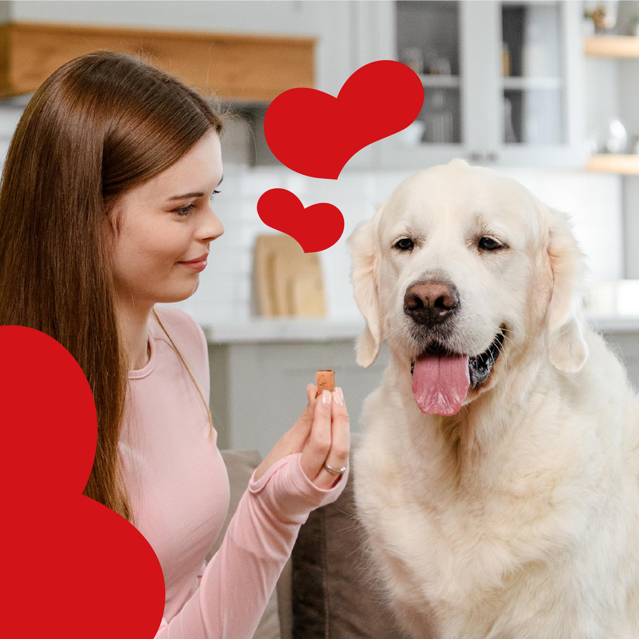 Лакомство для собак Mavsy Freeze dried FILET MIGNON BEEF WITH SUNDRIED TOMATOES от 3-х месяцев 50 г (24624862) - фото 6 Лакомство для собак Mavsy Freeze dried FILET MIGNON BEEF WITH SUNDRIED TOMATOES от 3-х месяцев 50 г (24624862) - фото 6