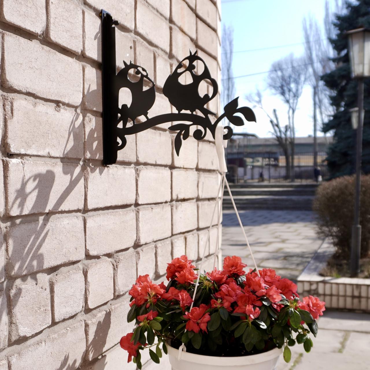 Кронштейн Смешные птички для кашпо с цветами метал Черный (М021) - фото 4 Кронштейн Смешные птички для кашпо с цветами метал Черный (М021) - фото 4