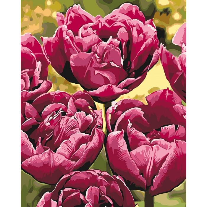 Картина по номерам Ідейка Изысканная элегантность 40х50 см (KHO3057)